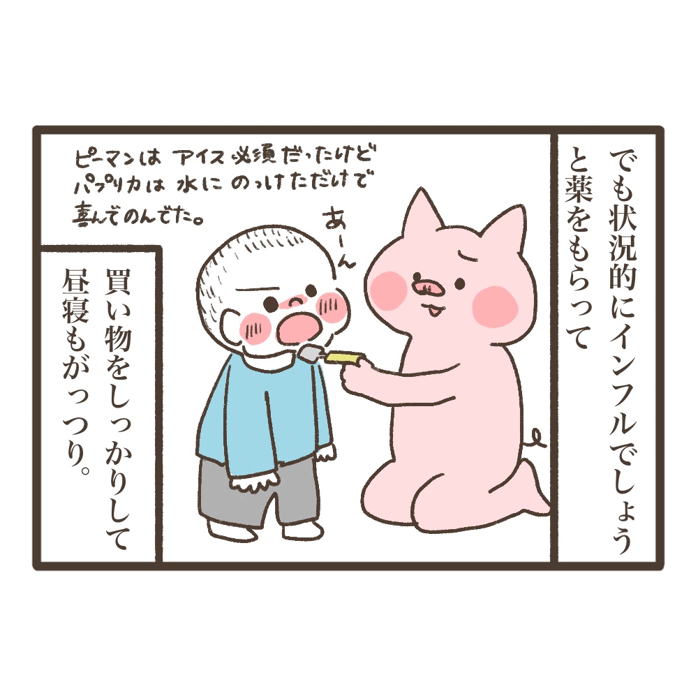 3人目妊娠インド帯同準備期間メンタル大波乱