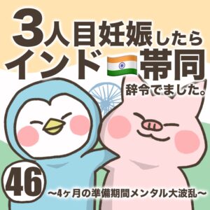 3人目妊娠インド帯同準備期間メンタル大波乱