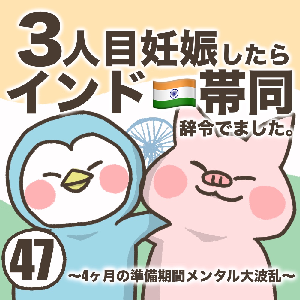 3人目妊娠インド帯同準備期間メンタル大波乱
