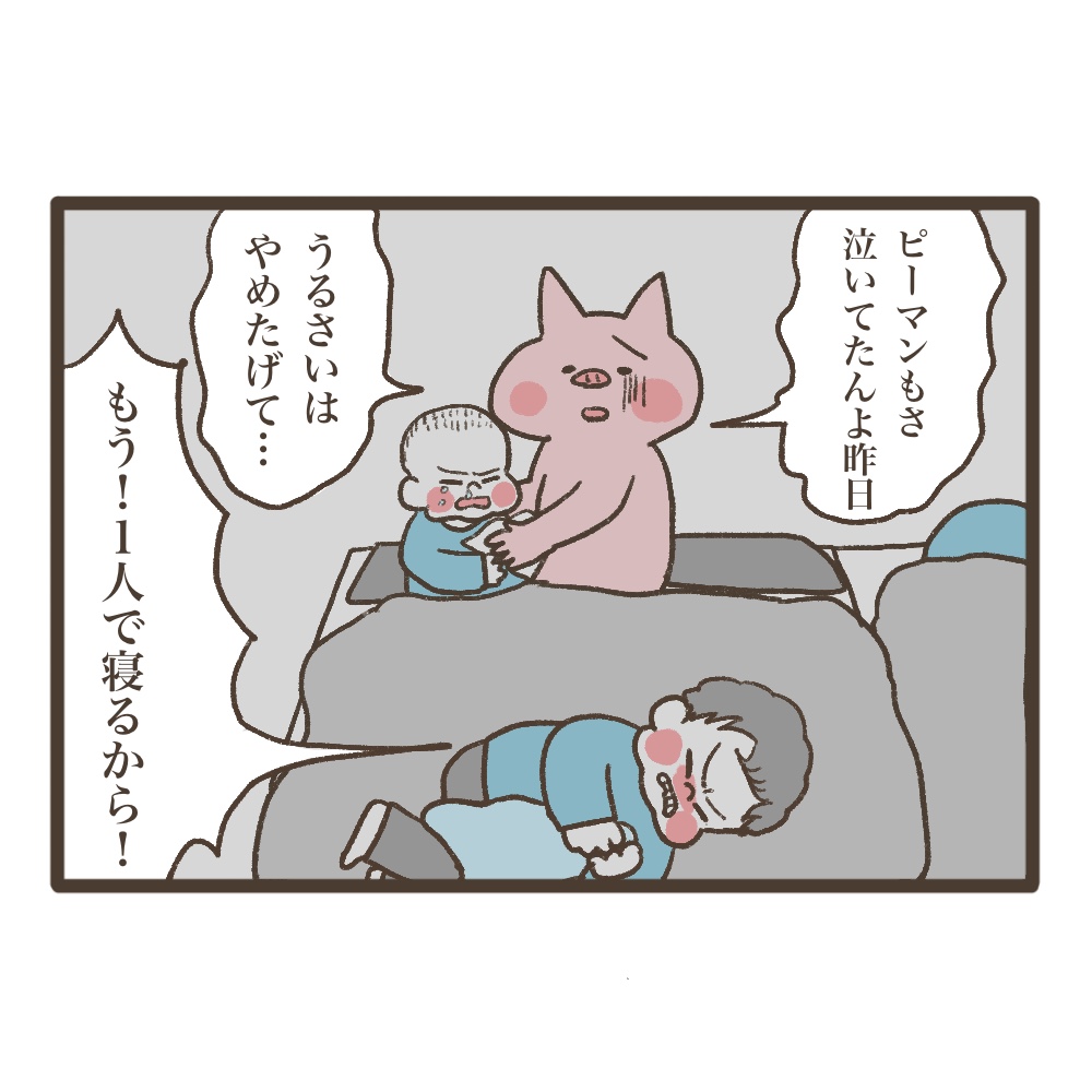 3人目妊娠インド帯同準備期間メンタル大波乱