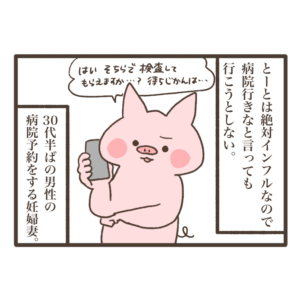 3人目妊娠インド帯同準備期間メンタル大波乱